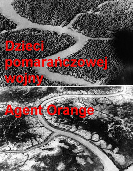 Dzieci pomarańczowej wojn