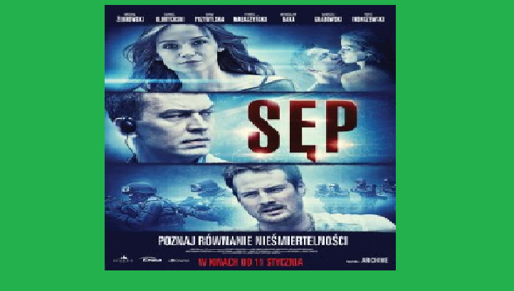 sęp