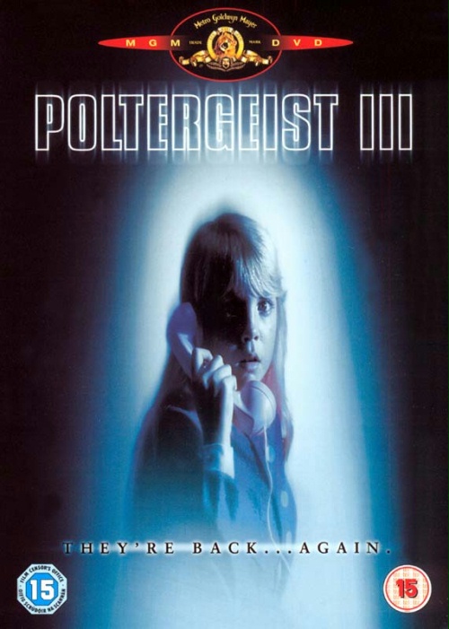 Duch 3 / Poltergeist 3 (1988) DVDrip.Xvid-NN / Lektor PL